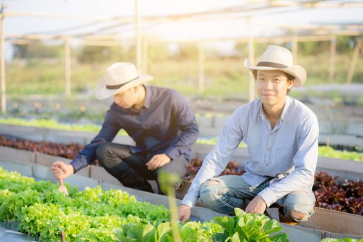 Young asian man farmer shovel dig fresh organic vegetable garden