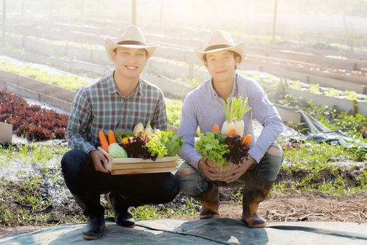 Beautiful portrait young two man harvest and picking up fresh or