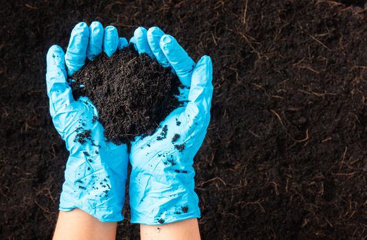 farmer or researcher woman wear gloves holding abundance fertile