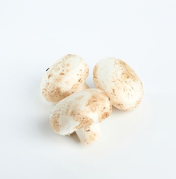 resh cut mushrooms champignons on white background