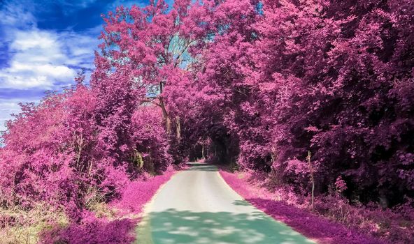 Beautiful purple infrared landscape in hires.