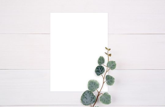 Blank paper sheet copy space with mockup and leaf on wooden table, poster and invitation, postcard decoration your design or branding, simplicity and minimal, nobody, flat lay, top view.