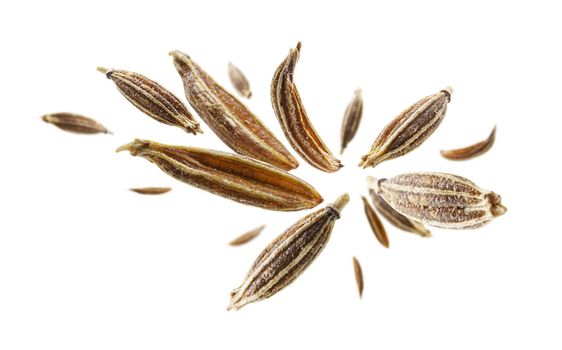 Zira seasoning seeds levitate on a white background
