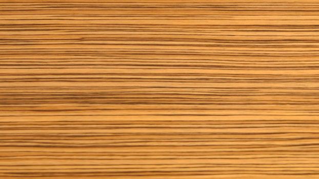 Natural yellow zebra wood texture background. veneer surface for interior and exterior manufacturers use.
