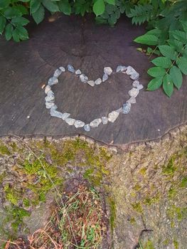 Small bright stones folded together to form a heart lying on a sawed tree trunk