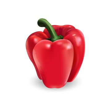 Red bell pepper on a white background.