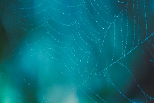 image of blurred abstract and art with bokeh cobweb light cold tone