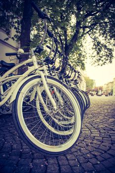 Renting bikes: Parking bikes for exploring the city, tourist attraction