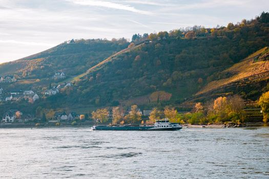 Travel in Germany - river cruises in Rhein river, beautiful medieval town and wine fields