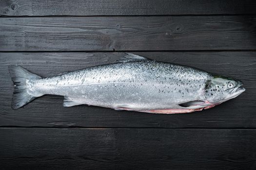 Fresh rainbow trout on black wooden surface, flat lay with space for text