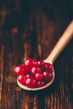 Spoonful of red currant