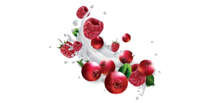 Cranberries and raspberries in splashes of milk or yogurt.