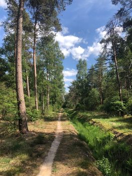 MTB route and forest around Ommen 