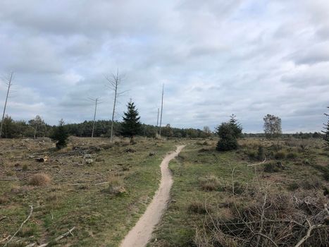 MTB trail at Nationaal Park Drents-Friese Wold