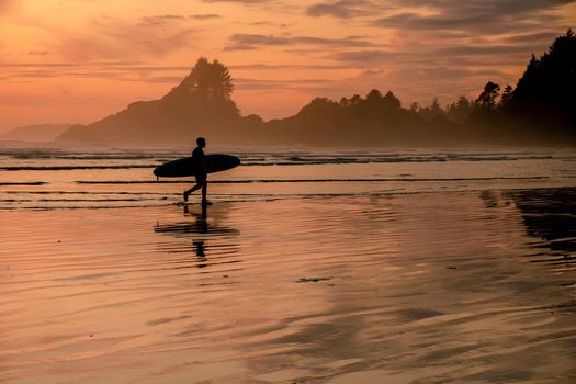 Tofino Vancouver Island Pacific rim coast, surfers with board during sunset at the beach, surfers silhouette Canada Vancouver Island Tofino. 