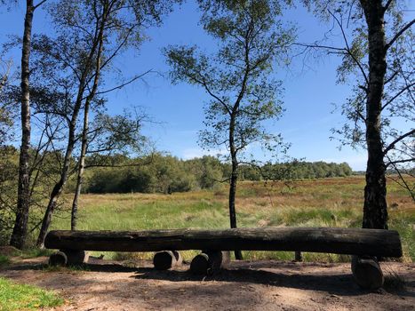 Wooden bench at the Zwillbrocker Venn Wetland