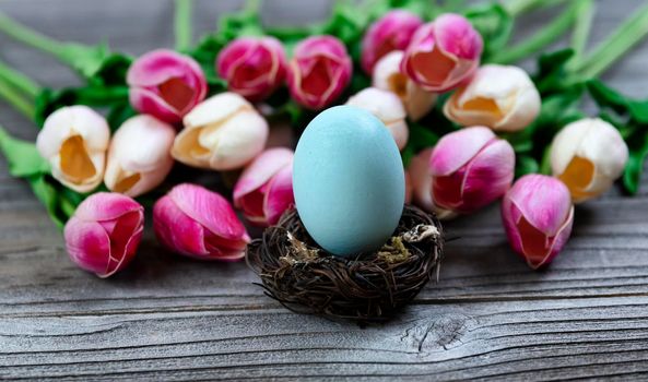 Select focus of standing up egg in nest with tulips and rustic wood in background