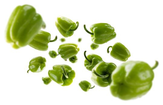 Green paprika levitates on a white background