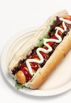 classic hot dog with frankfurter sausage and sauces