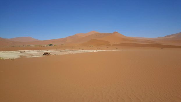 Red dunes landscape at Sossusvlei 
