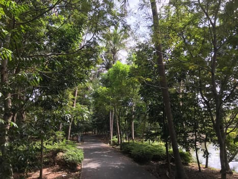 Path through the Sri Nakhon Khuean Khan Park 