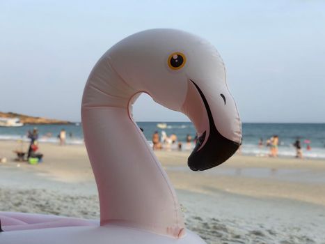 Inflatable flamingo at Koh Samet island 