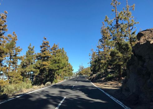Road through Teide National Park