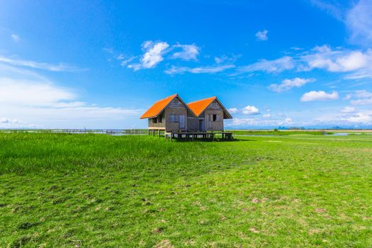 Twin old house on wetland at Talay Noi lake at Phatthalung, Thailand.