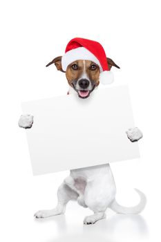 christmas dog placeholder