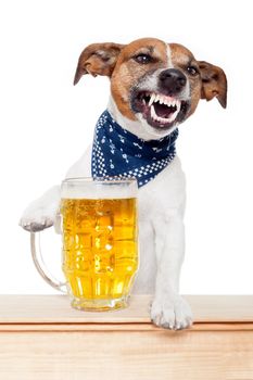 drunk dog with beer