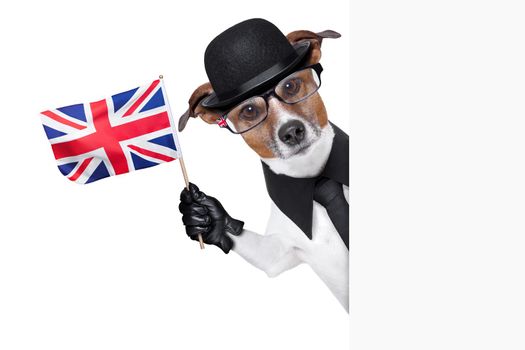 british dog  banner