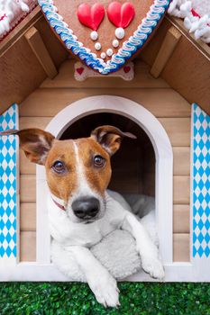 bavarian dog house