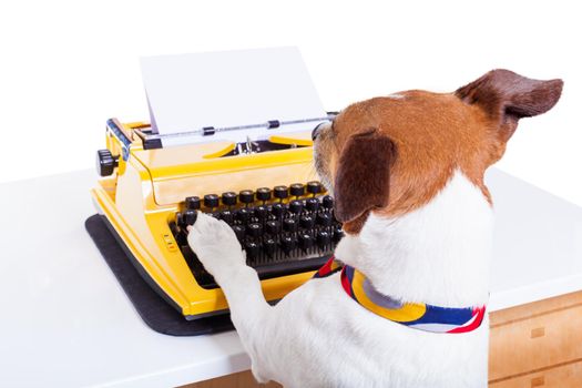 secretary typewriter  dog 