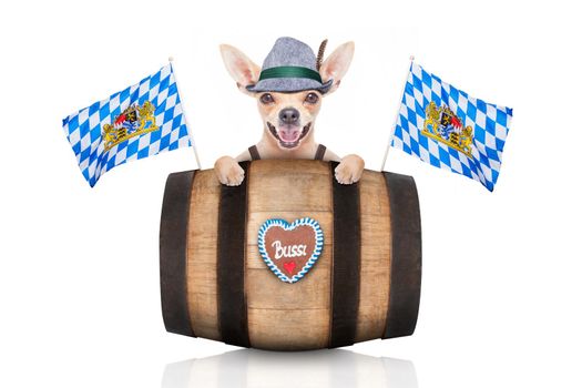 bavarian beer dog