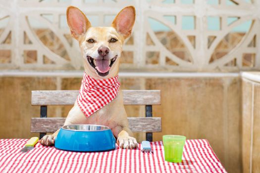 dog eating a the table with food bowl 