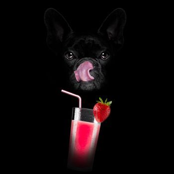 smoothie millshake cocktail dog