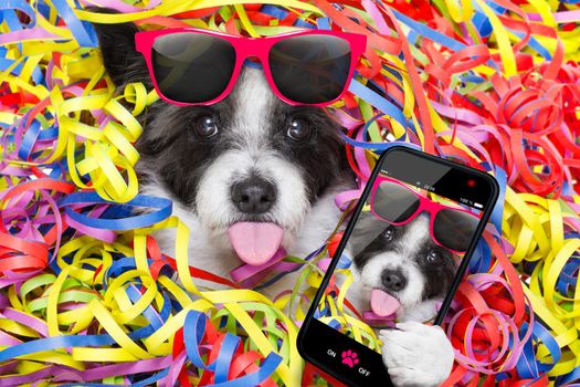 poodle dog having a party with serpentine streamers, for birthday or new years eve sticking out the tongue taking a selfie with smartphone or cell phone