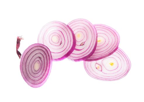 onion cut into rings drops on white background