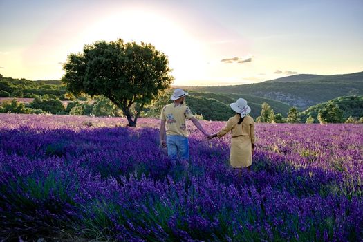Lavender fields in Ardeche in southeast France