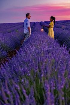 Provence, Lavender field at sunset, Valensole Plateau Provence France blooming lavender fields