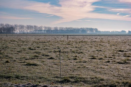 frozen land cold morning in the Netherlands at the agriculture land Noordoostpolder Flevoland