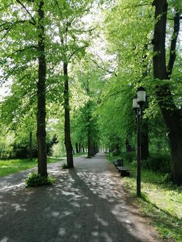 Park near the city of Greifswald. The inner city of greifswald, germany.