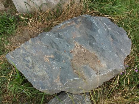 boulder rock in meadow