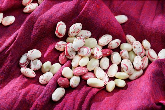 Common beans