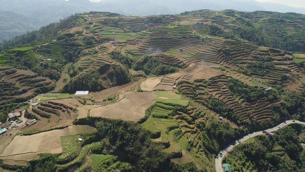Farmland in a mountain province Philippines, Luzon