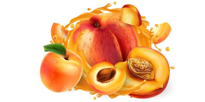 Whole and sliced peaches and apricots in a juice splash.