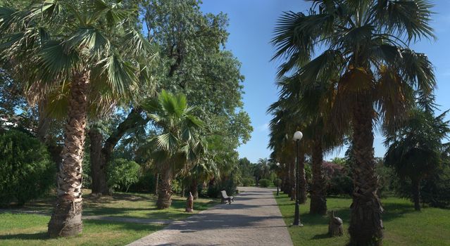 Panorama of the landscape Of the Park