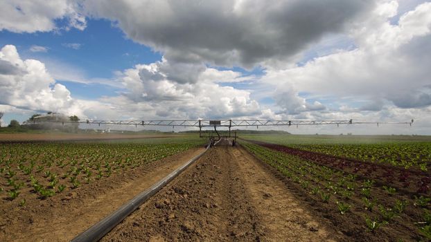 Irrigation system on agricultural land.