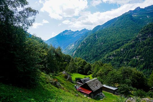 View down the Val Lavizzara over alp with traditional houses near Fusio, Switzerland