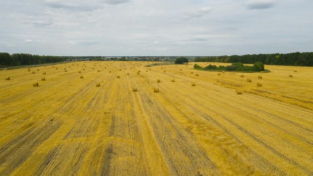 Field with haystacks after harvest. Rural landscape.